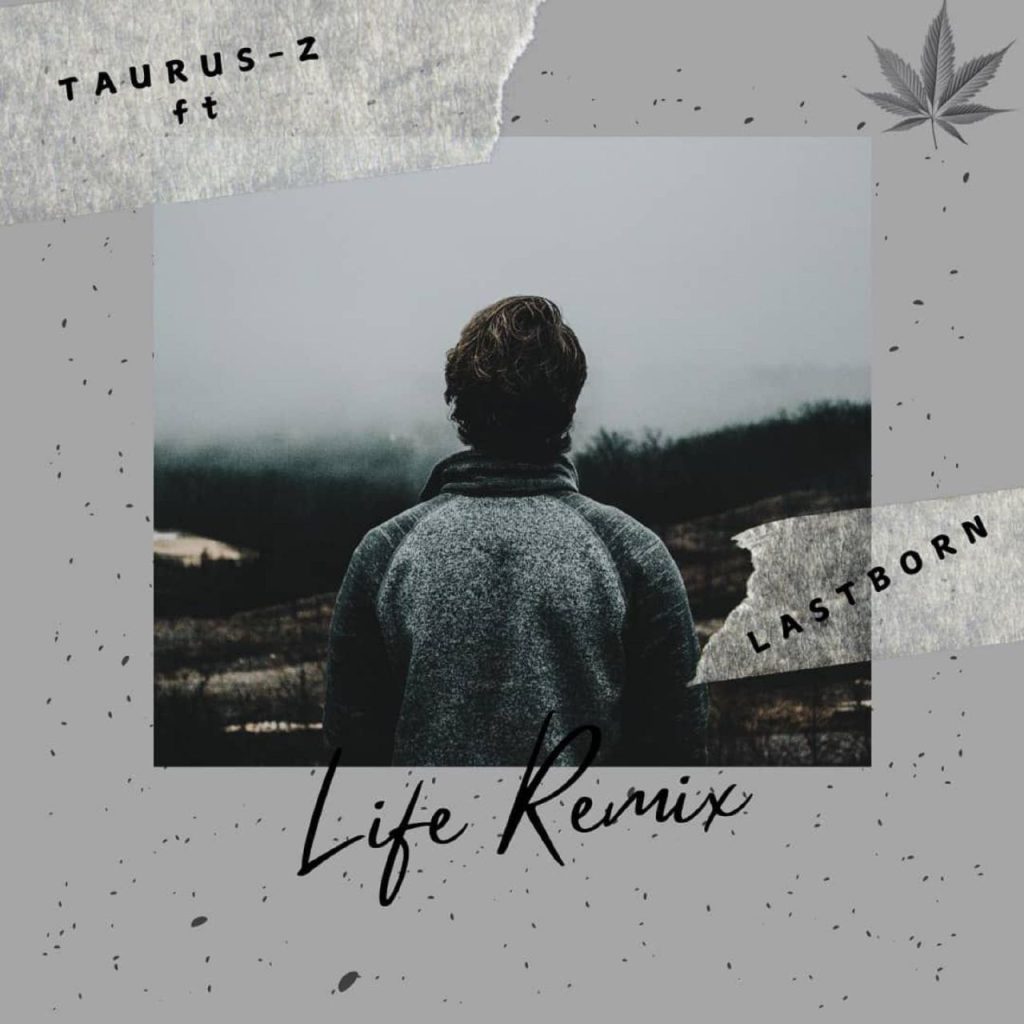 Taurus Z - life (Remix)